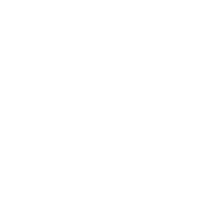 DeepScientist