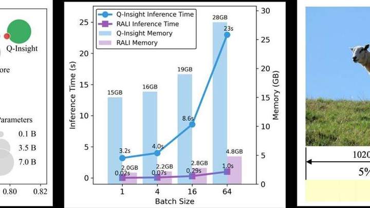 RALI: Reasoning-Aligned Lightweight Image Quality Assessment